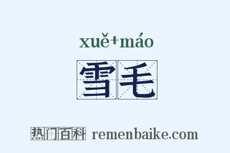 雪毛是什么意思的图片